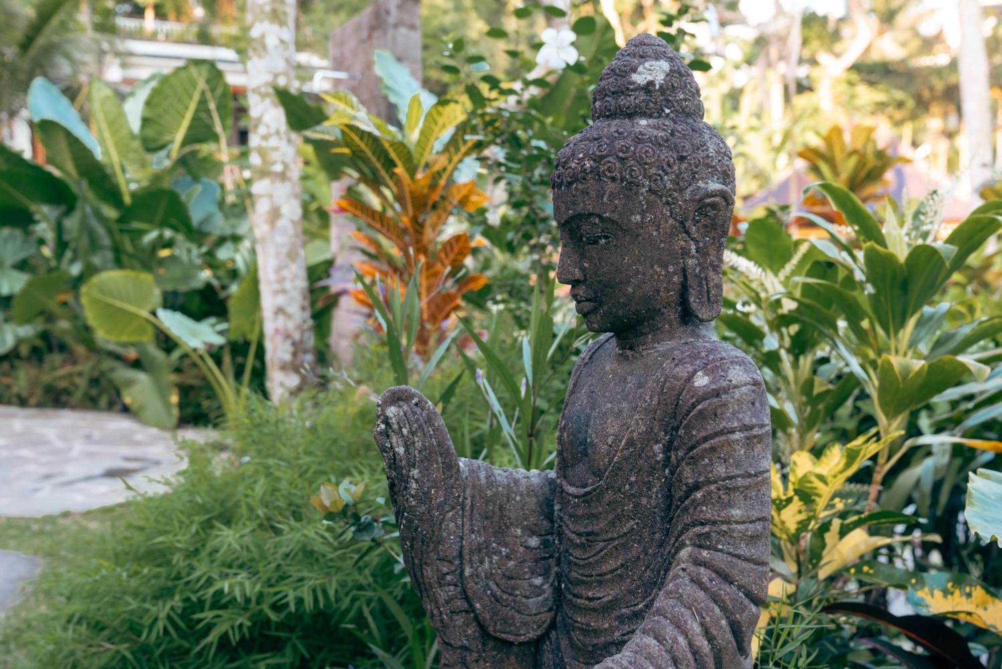 Lumeria Yoga Acomodação com café da manhã  *