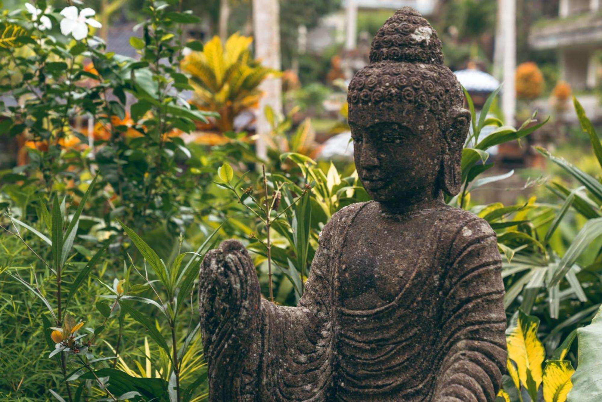 Lumeria Yoga Acomodação com café da manhã  *